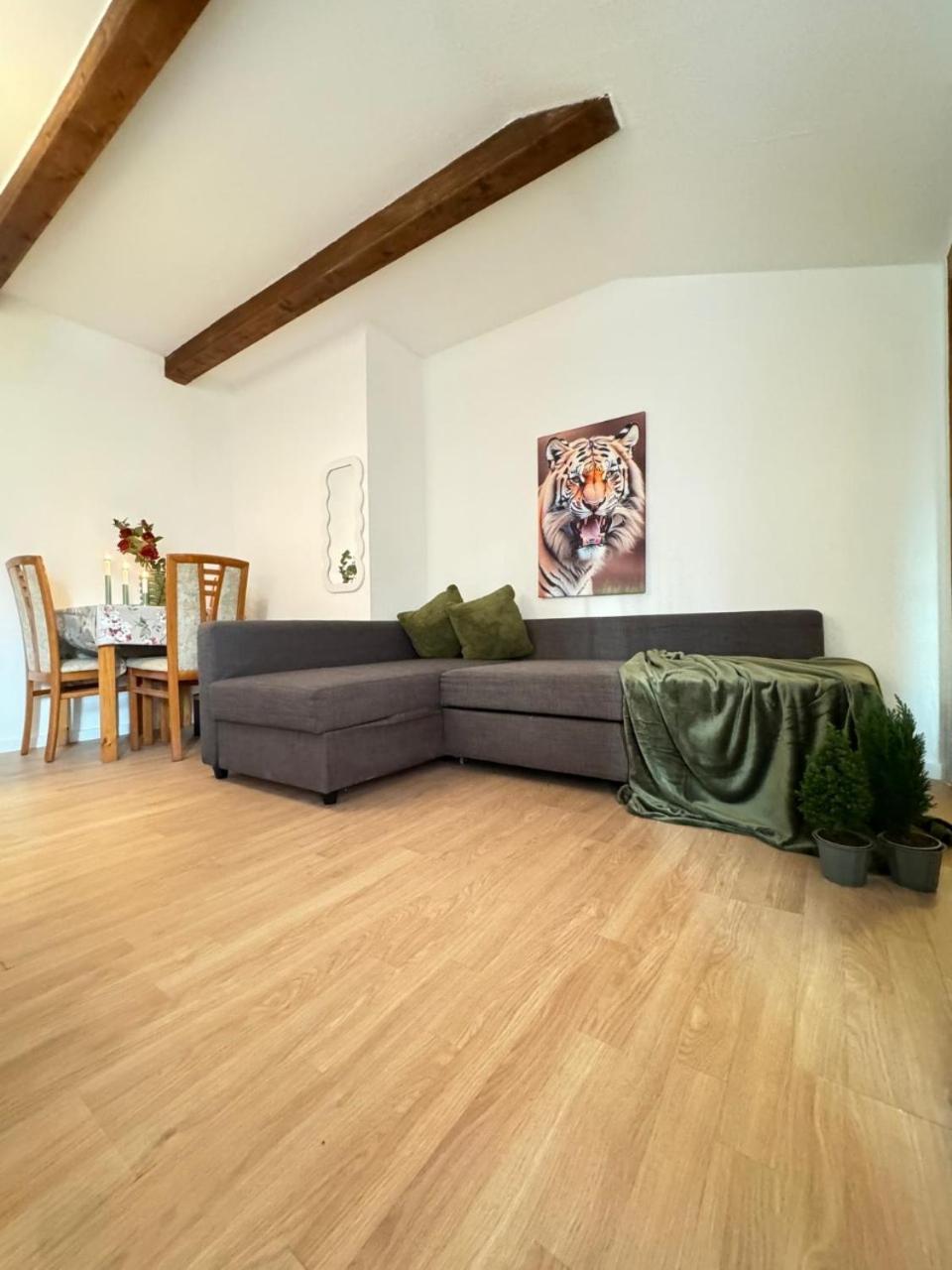 Cozy In A For Groups, 16-mins To Blumengaerten Appartement *