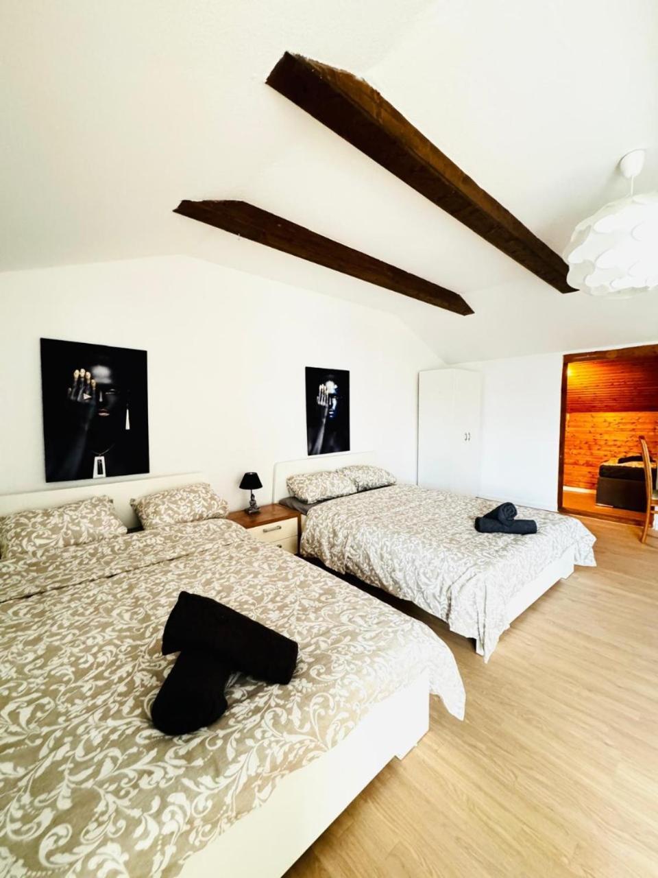 Cozy In A For Groups, 16-mins To Blumengaerten Appartement *
